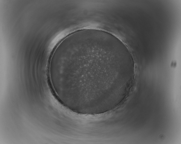 X0000111800007200907301220