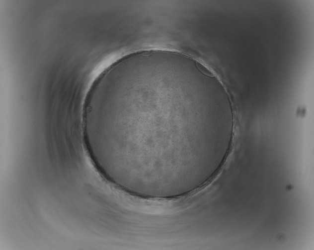 X0000111800008200907301220