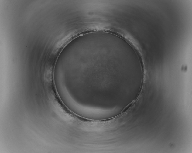 X0000111800009200907301220