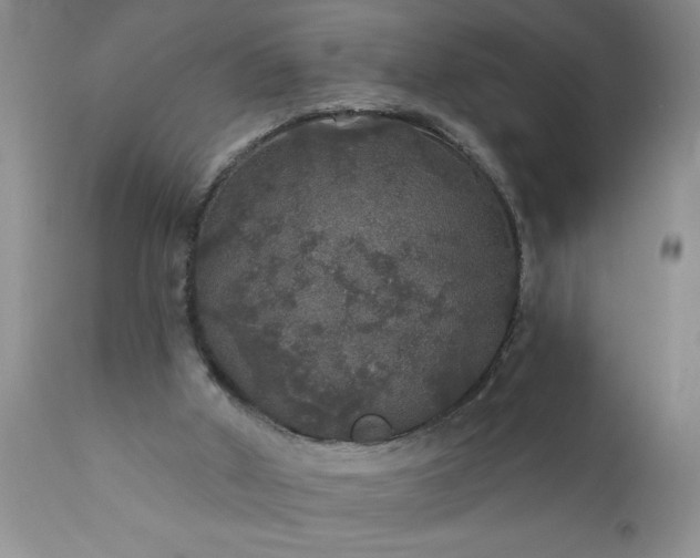 X0000111800010200907301220