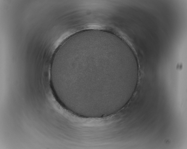 X0000111800011200907301220