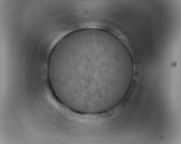 X0000111800012200907301220