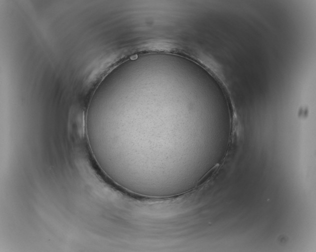 X0000111800013200907301220