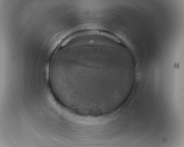 X0000111800014200907301220