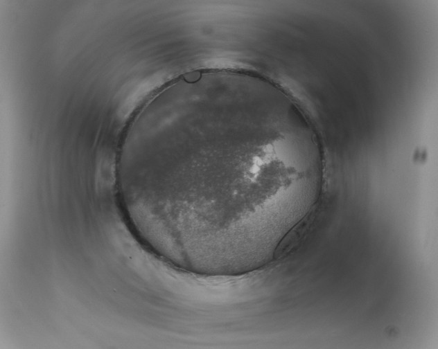 X0000111800015200907301220