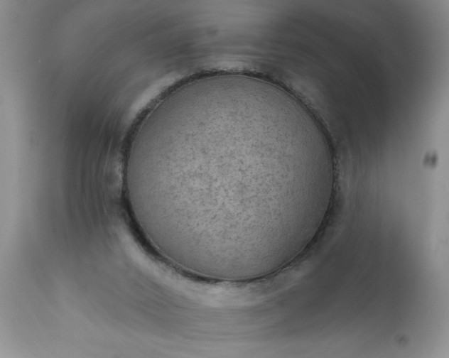X0000111800016200907301220