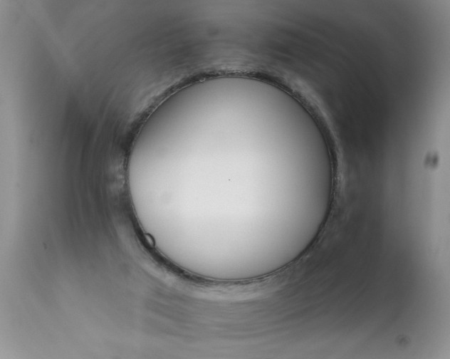 X0000111800017200907301220
