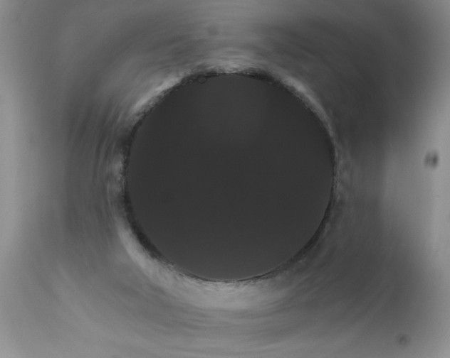 X0000111800018200907301220