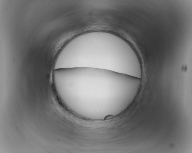 X0000111800019200907301220