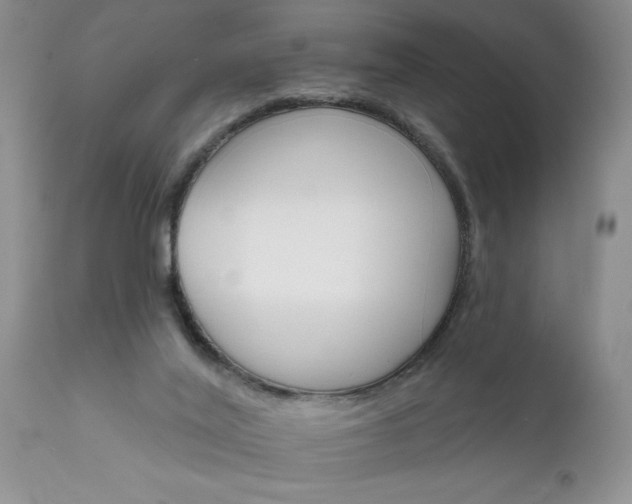X0000111800020200907301220