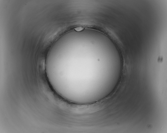 X0000111800021200907301220