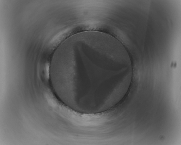 X0000111800022200907301220