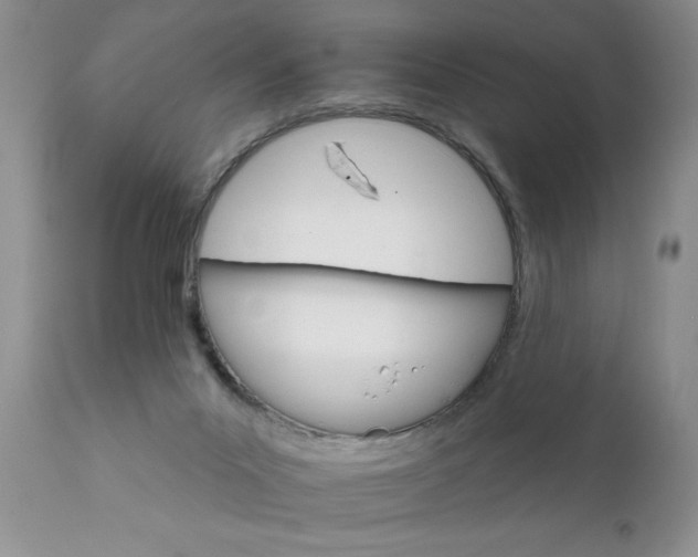 X0000111800023200907301220