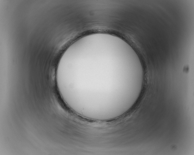 X0000111800024200907301220