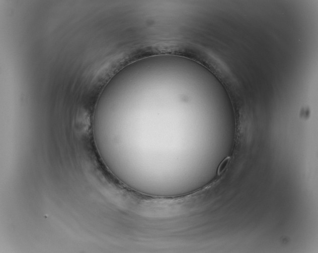 X0000111800025200907301220