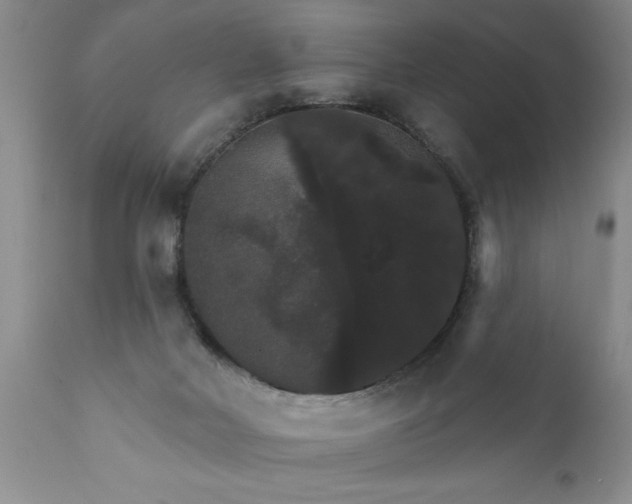 X0000111800026200907301220