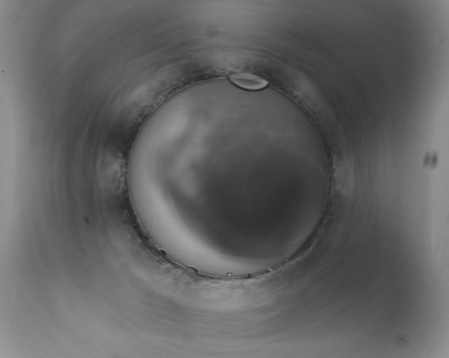 X0000111800029200907301220