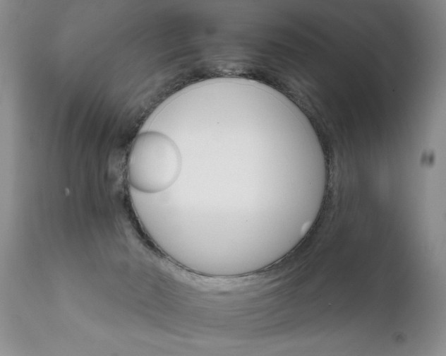 X0000111800030200907301220