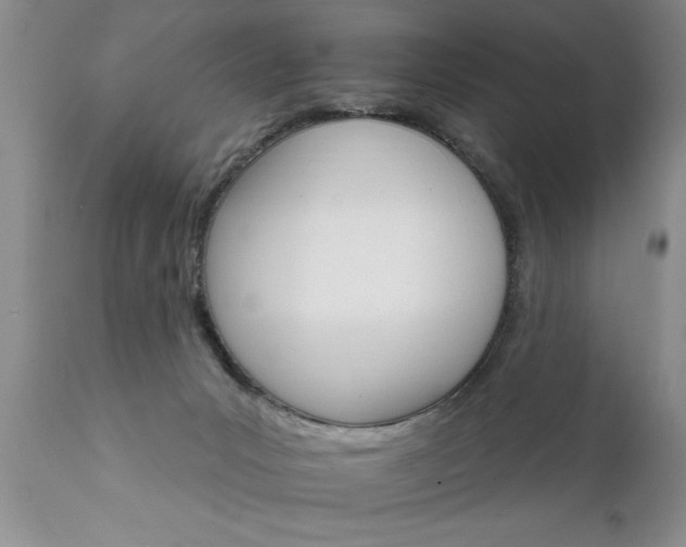 X0000111800031200907301220