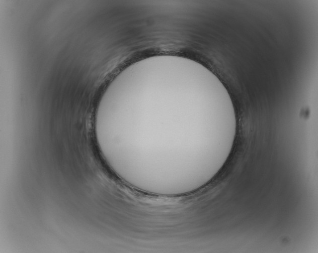 X0000111800032200907301220