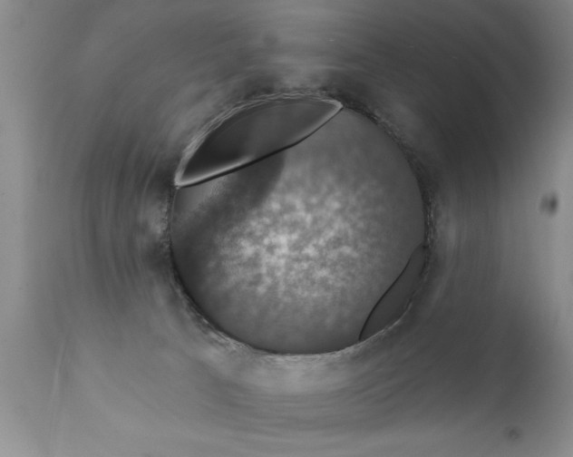 X0000111800033200907301220