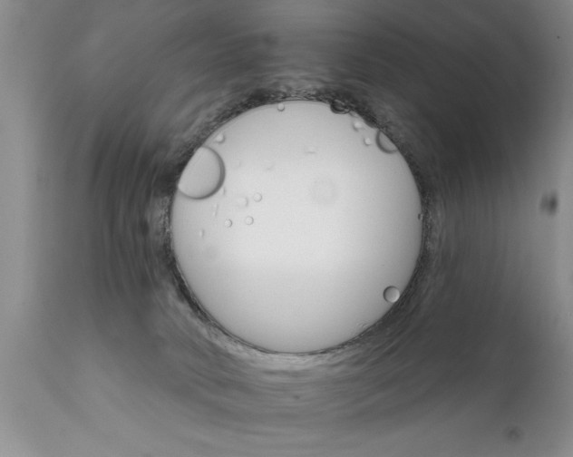 X0000111800034200907301220