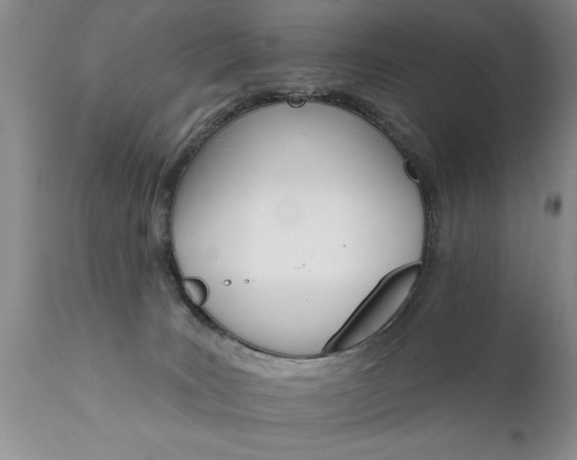 X0000111800035200907301220