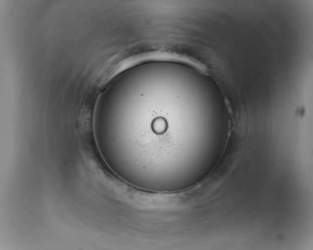 X0000111800036200907301220