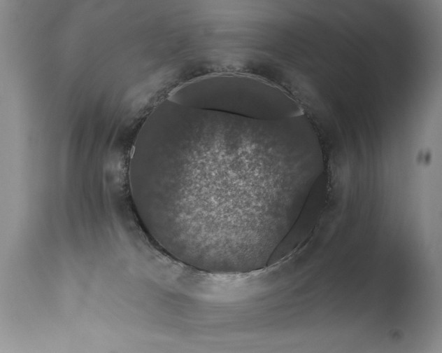 X0000111800037200907301220