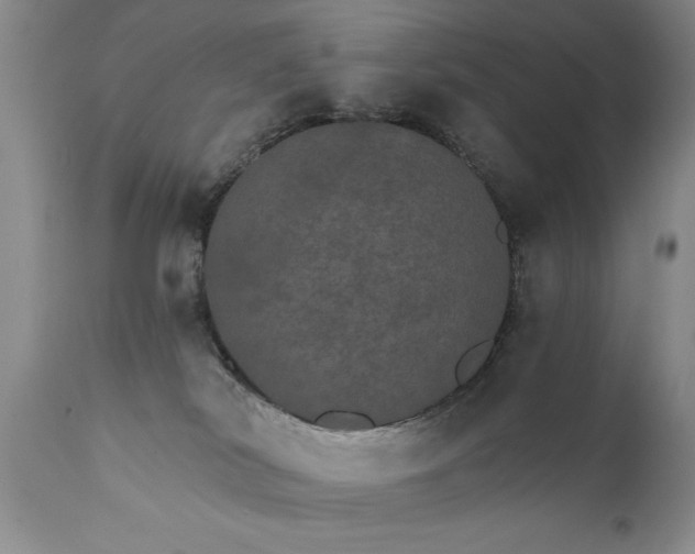 X0000111800038200907301220