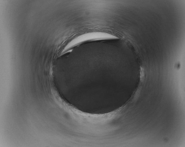X0000111800039200907301220