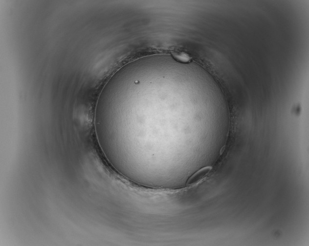 X0000111800040200907301220