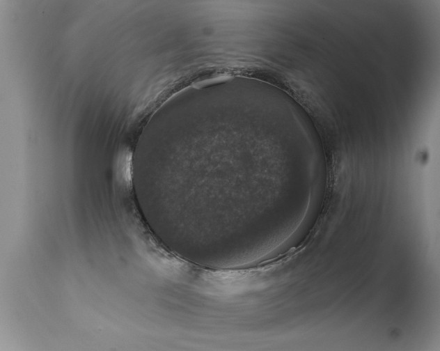 X0000111800041200907301220