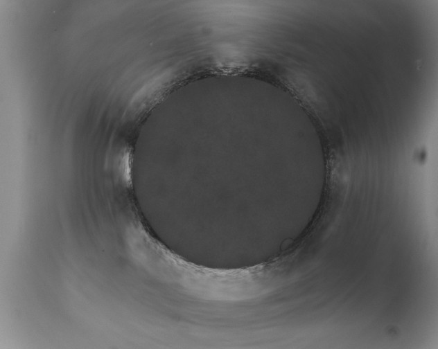 X0000111800042200907301220