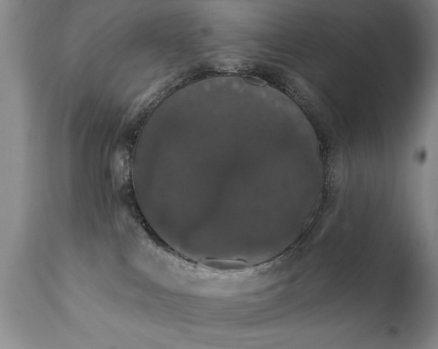 X0000111800043200907301220