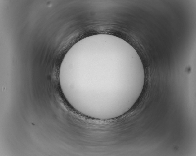 X0000111800044200907301220