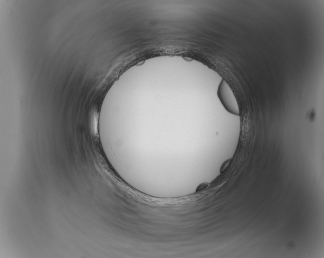 X0000111800046200907301220