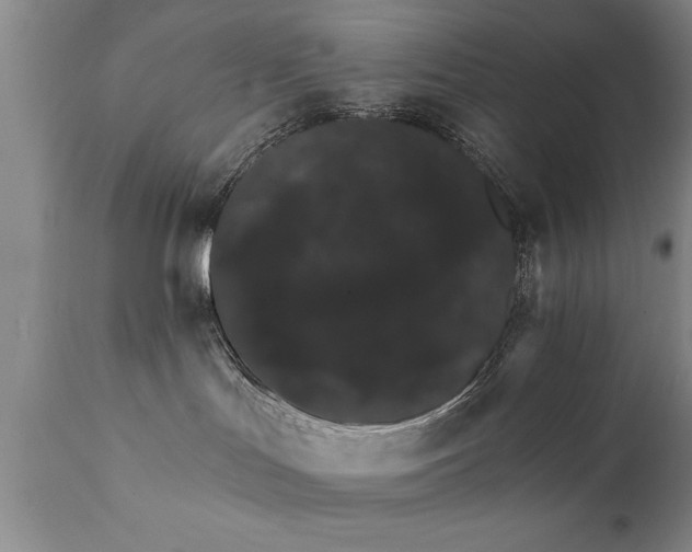 X0000111800047200907301220