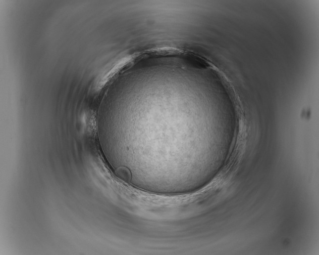 X0000111800048200907301220