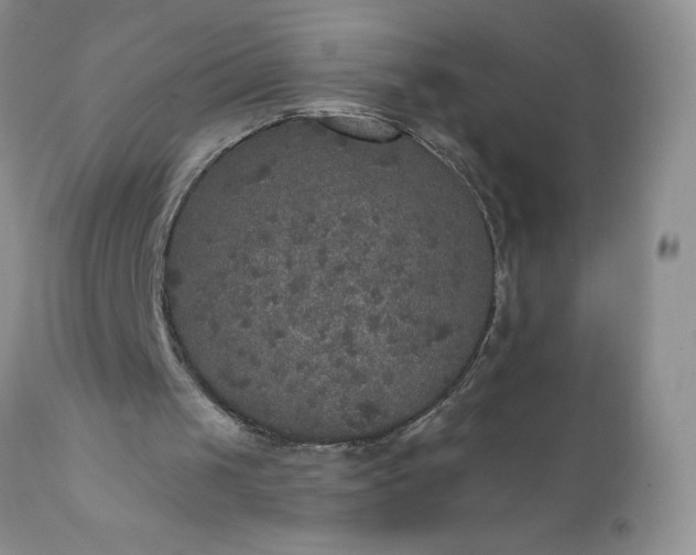 X0000111800049200907301219