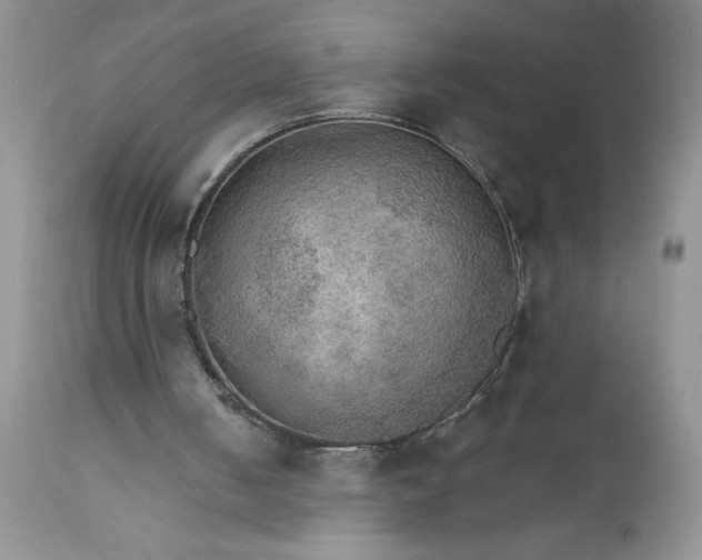 X0000111800050200907301219