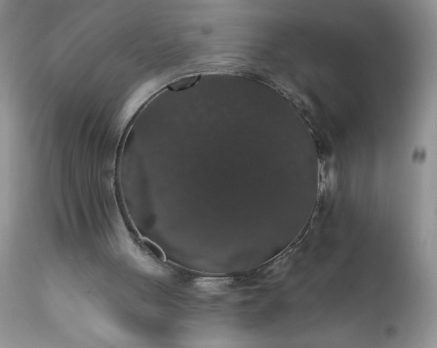 X0000111800051200907301219