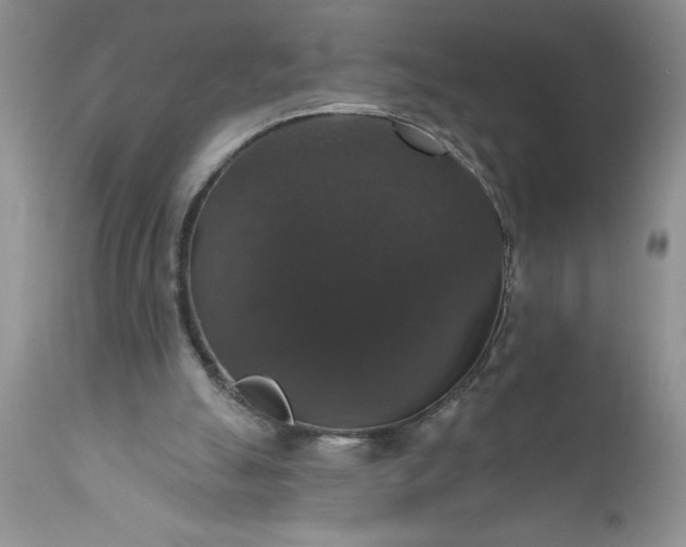 X0000111800055200907301219