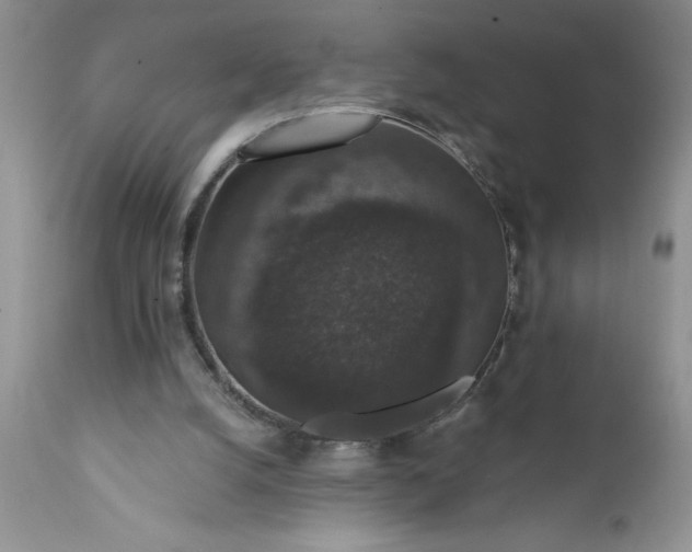 X0000111800056200907301219