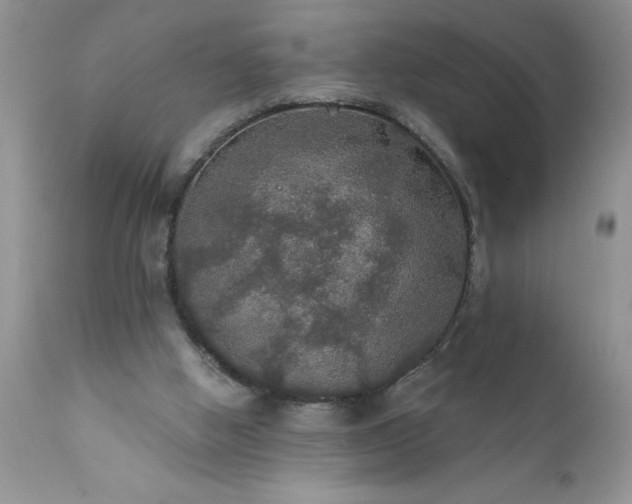 X0000111800058200907301219