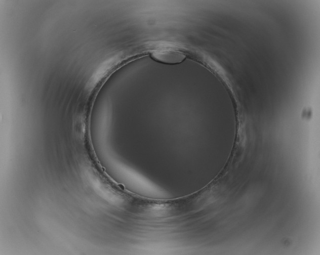 X0000111800059200907301219