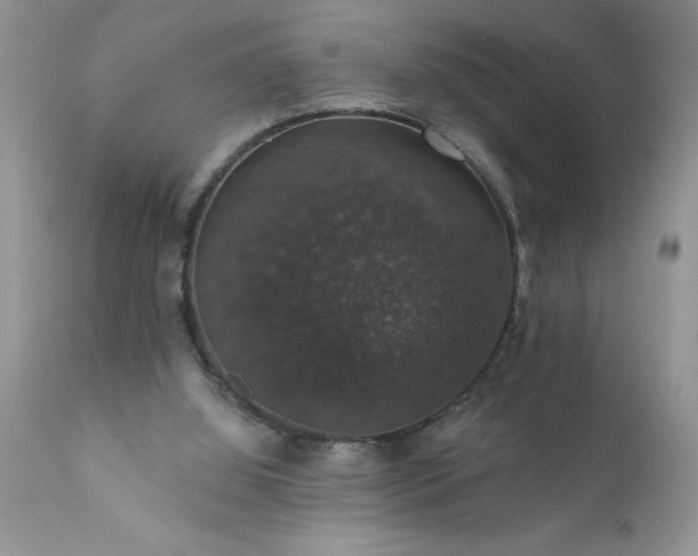X0000111800060200907301219