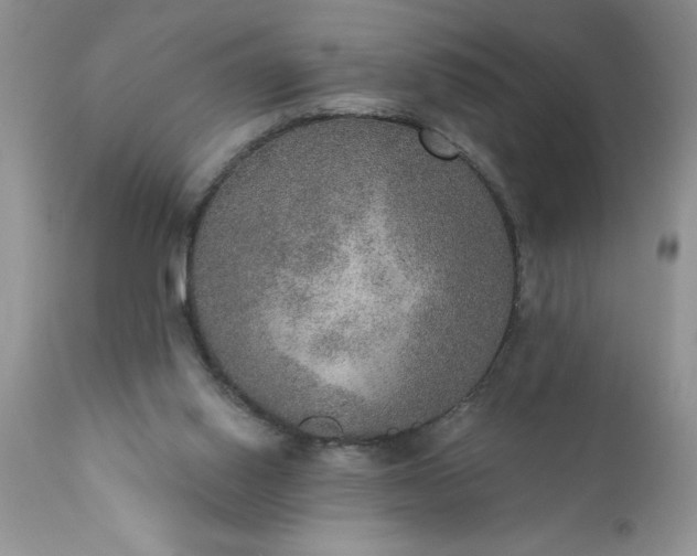 X0000111800062200907301219