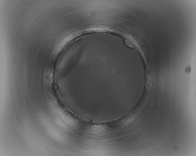X0000111800063200907301219