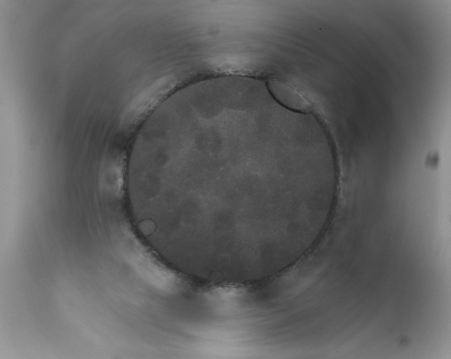 X0000111800065200907301219
